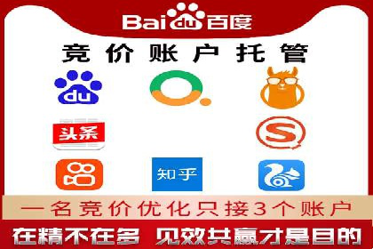 案例分析：托管SEM竞价助力电商旺季促销